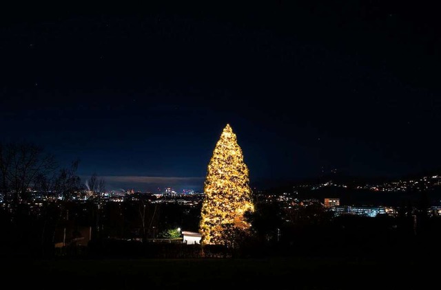 Was das wieder koscht! Merzhausener Weihnachtsbaum  | Foto: Stephan Tapken