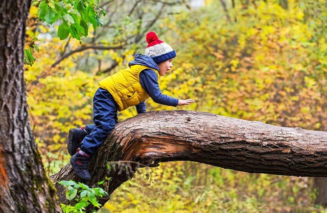 Aus eigener Kraft: Kinder klettern nur...t und hoch, wie Kraft und Mut da sind.  | Foto: TheFarAwayKingdom (stock.adobe.com)