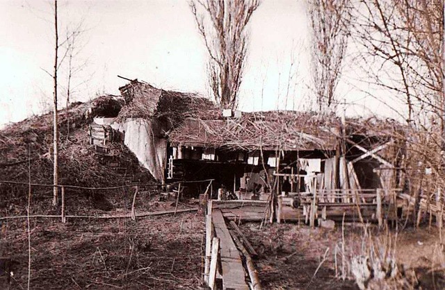 Ein Foto des Bunkers, der bei Wittenweier stand <ppp></ppp>  | Foto: privat