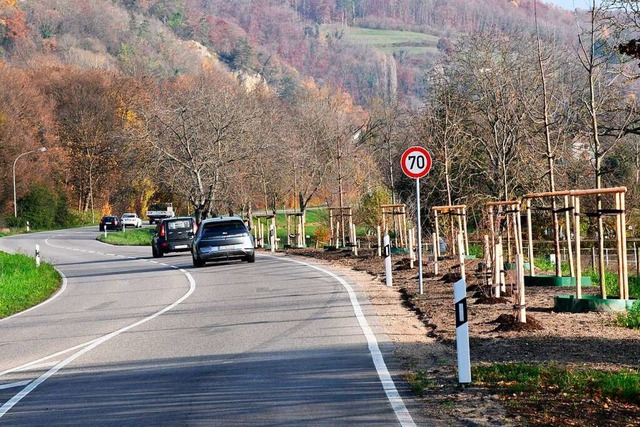 Der Kreisel an der B 34 und dessen Bep...hmen, die abgeschlossen werden sollen.  | Foto: Heinz und Monika Vollmar