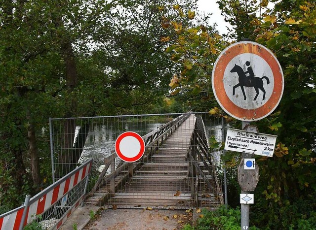 Ob der Elzsteg ersetzt wird, ist noch offen   | Foto: Wolfgang Knstle