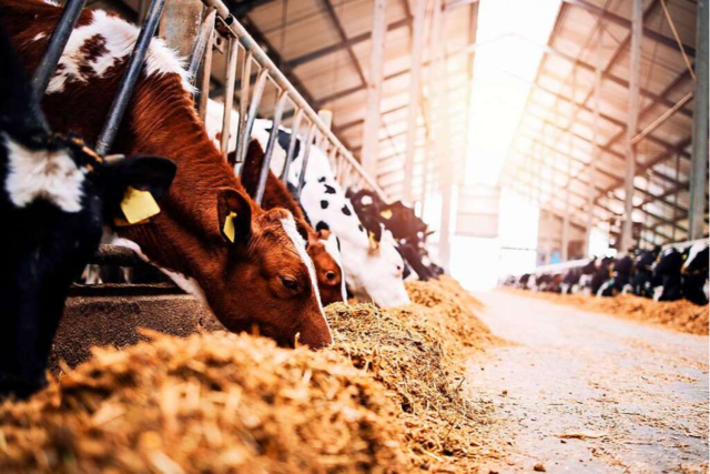 Bessere Landwirtschaft