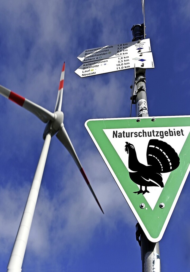 Windkraft gegen Auerhuhn? Oder doch Wi...f der Hornisgrinde im Nordschwarzwald.  | Foto: Uli Deck/