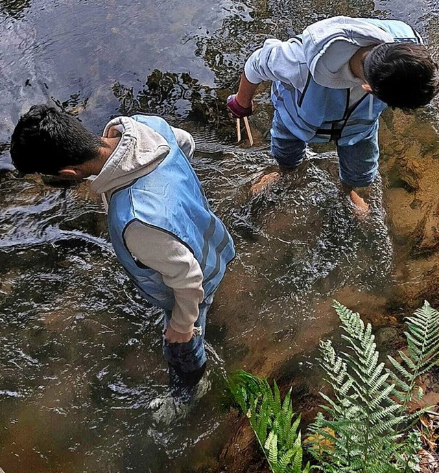 Sehr Motivierte stiegen ins Wasser.  | Foto: Privat