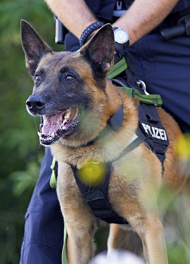 Auch die Bundespolizei hat eine Hundestaffel.  | Foto: Polizeiprsidium Freiburg