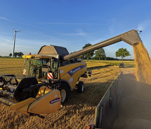 Ein Mhdrescher der Firma New Holland bei der Ernte  | Foto: Philipp Schulze