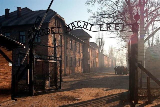 Was ist in Auschwitz passiert?