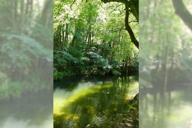 Flussbad in der Wiese