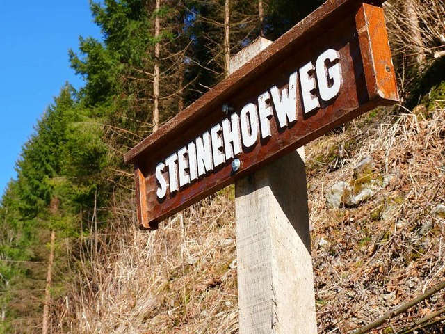 Der Begriff Steinehof ist heute noch g...er steilen Bergflanke neben der L139.   | Foto: Sattelberger