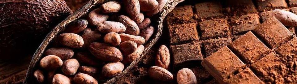 Die Welt des Kakaos – Wissen ber Schokolade