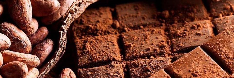 Die Welt des Kakaos – Wissen ber Schokolade