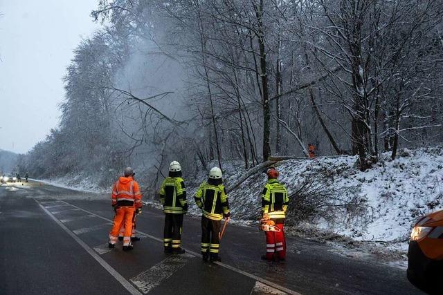 Mllheimer Feuerwehr wegen Eisbruch im Einsatz