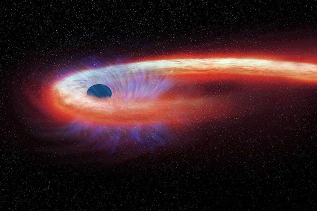 Diese grafische Darstellung zeigt eine... einem schwarzen Loch geschluckt wird.  | Foto: M.Weiss