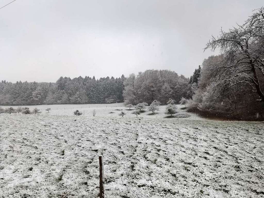 Der schneebedeckte Schnberg