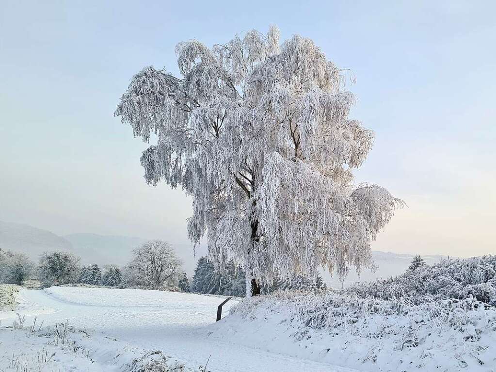 Winterlandschaft auf dem Schutterlindenberg