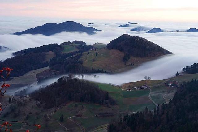 Nebelwalze im Schweizer Jura