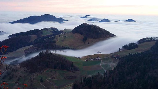 Nebelwalze.  | Foto: Clemens Moser