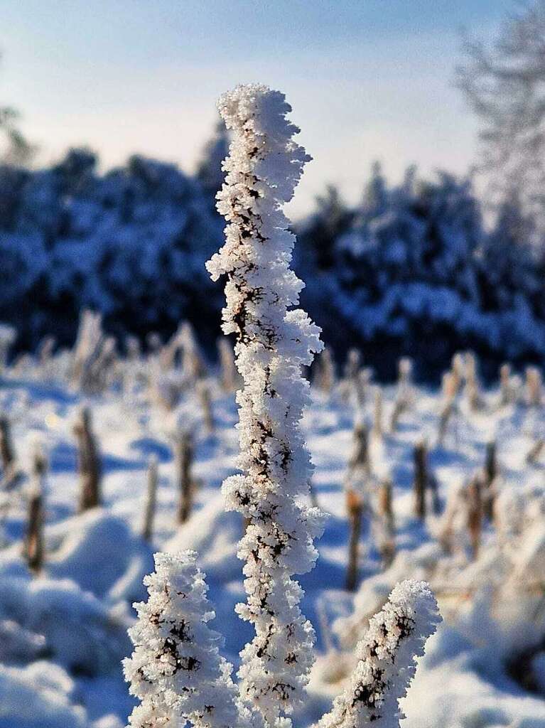 Impressionen aus dem Schnee