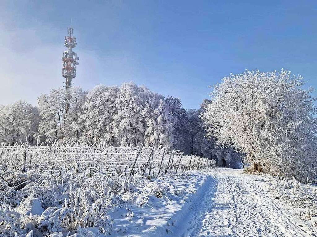 Impressionen aus dem Schnee