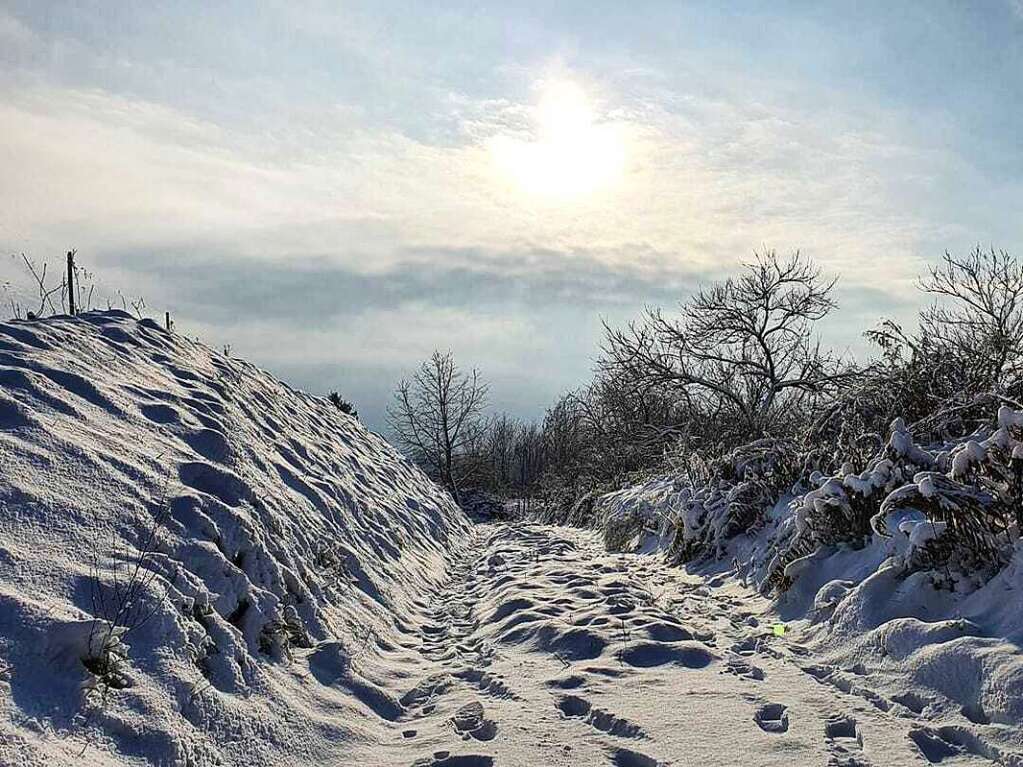 Impressionen aus dem Schnee