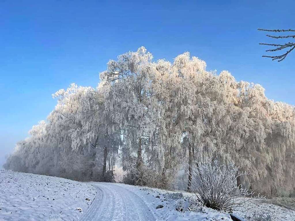 Impressionen aus dem Schnee