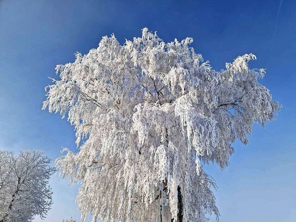 Impressionen aus dem Schnee