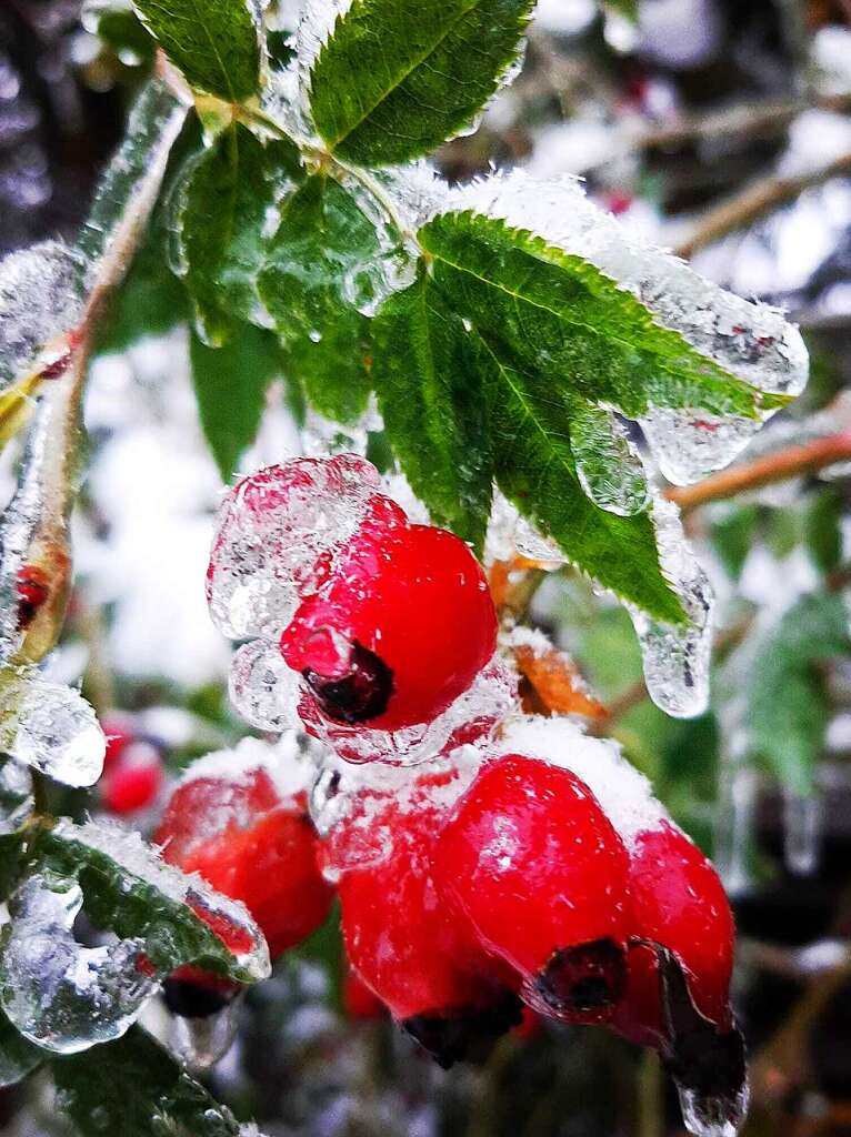 Impressionen aus dem Schnee