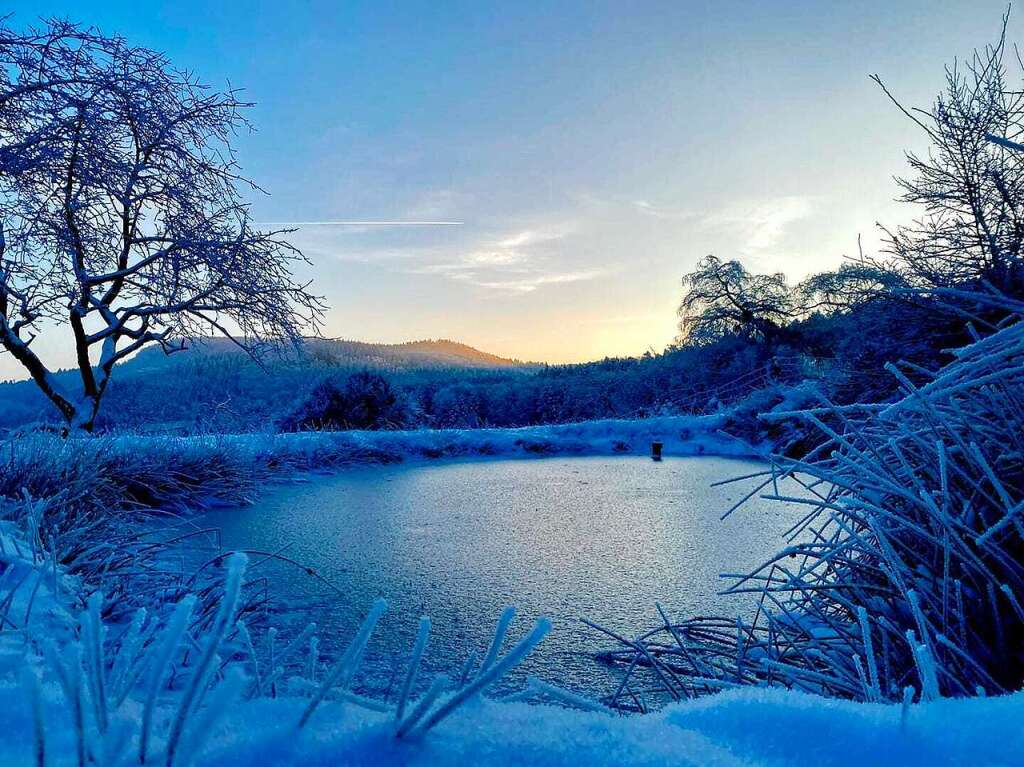 Impressionen aus dem Schnee