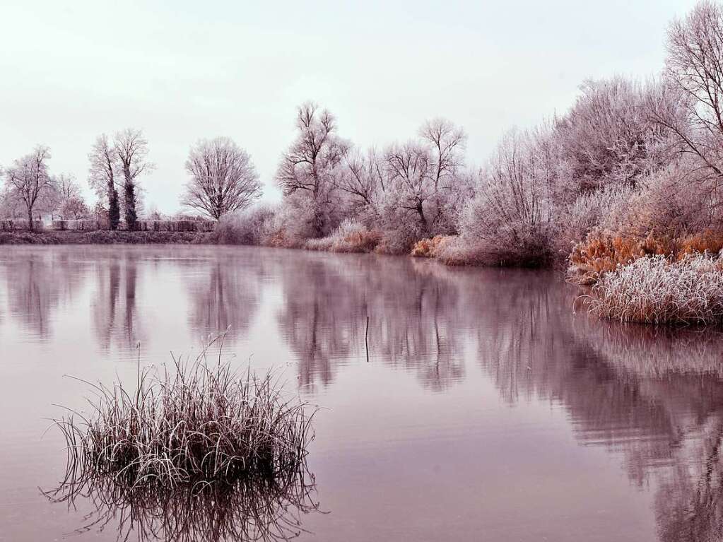 Der See in Allmannsweier