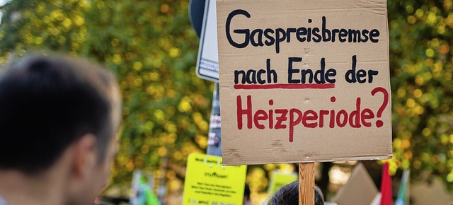 Bei einer Demonstration in Stuttgart i...werden Entlastungsmanahmen gefordert.  | Foto: Christoph Schmidt (dpa)