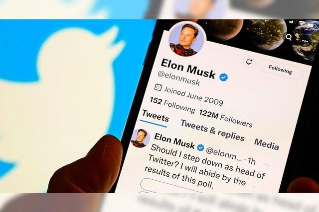 Twitter-Nutzer wollen Musks Rücktritt