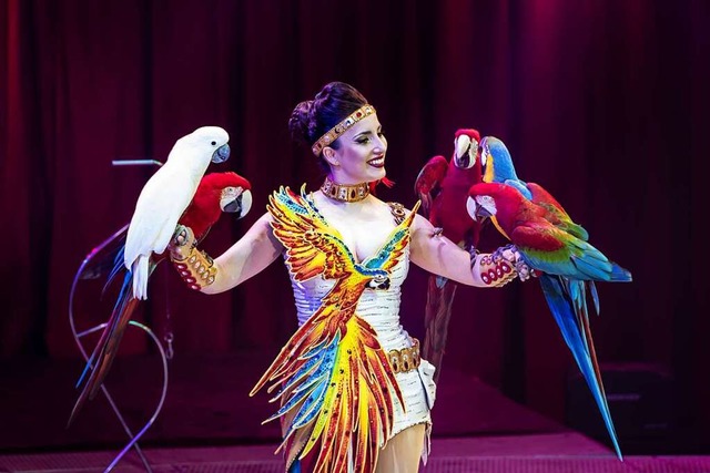 Laura Urunova macht sich den Lerntrieb...zu nutze. Ihre Papageien fliegen frei.  | Foto: Zirkus Charles Knie