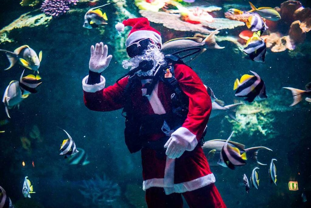 Weihnachtspartys soweit das Auge reicht.  | Foto: JACK TAYLOR (AFP)
