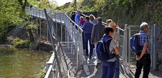 Stege beim neuen Rundwanderweg Laufenb...ilden den bergang zum Rheinkraftwerk.  | Foto: Michael Gottstein