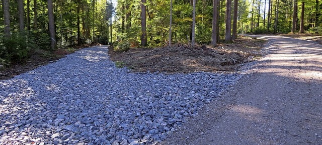 So sollen Waldwege &#8211; weil nicht ...is Wallaschek nicht ausgebaut werden.   | Foto: Iris Wallaschek