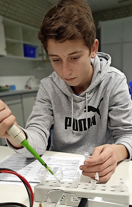 Im MSG-Schullabor beschftigen sich Te...s Freiburg-Seminars mit dem Thema DNA.  | Foto: Martin-Schongauer-Gymnasium