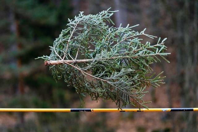 Ohje, du frhliche! Tipps fr brenzlige Weihnachtssituationen