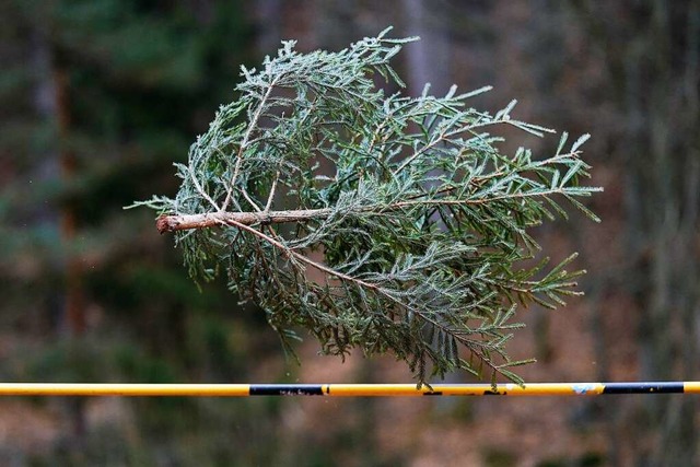 An Weihnachten sind die Erwartungen ho...Wir geben Tipps fr Extremsituationen.  | Foto: Uwe Anspach (dpa)