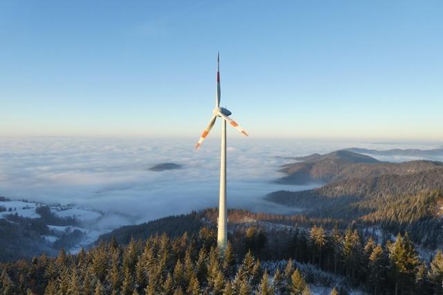 Frster findet Vermissten nach fnf Tagen am Schauinsland