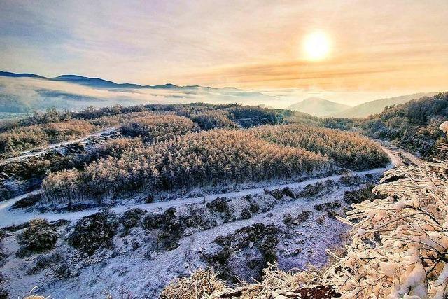 ber Bollschweil strahlt die gelbe Wintersonne