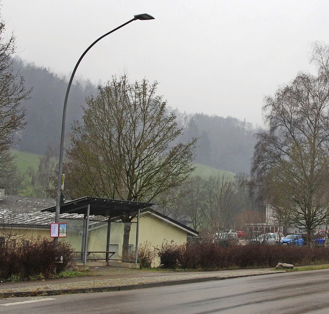 Knftig werden die Laternen wieder um 4.30 Uhr angeschaltet.  | Foto: Lucia van Kreuningen