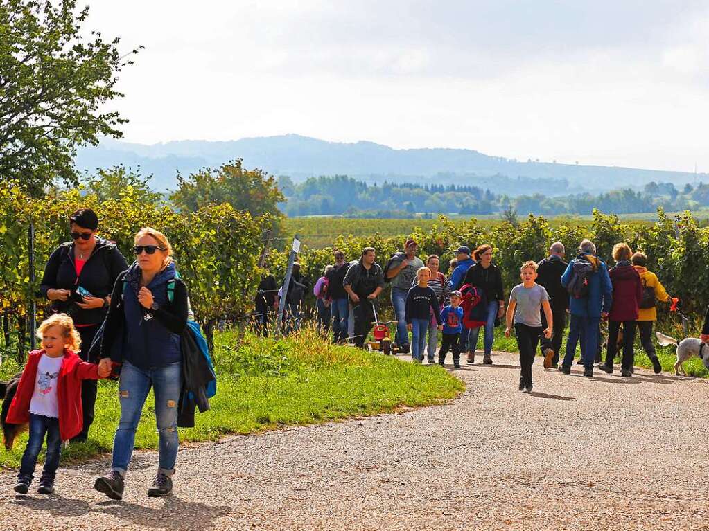 Zahlreiche Wanderfreunde waren am 3. Oktober wieder rund um den Kaiserberg unterwegs. Die drei Orte Ettenheim, Ringsheim und Herbolzheim verbanden Wein und Natur mit einer Wanderung.