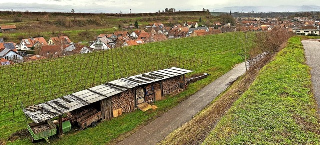 Zwischen dem unteren Wirtschaftsweg un... das Baugebiet Breitenweg I entstehen.  | Foto: Daniel Hengst