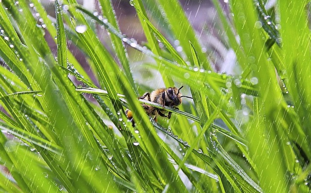 Ein Streifen Grnflche soll knftig K...d Gewerbegebiet vermeiden (Symbolfoto)  | Foto: anna_andre  (stock.adobe.com)