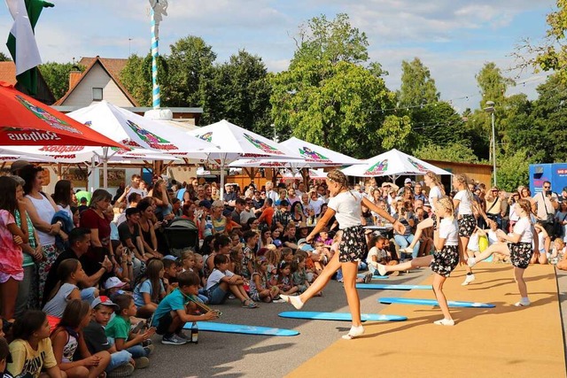 Endlich wieder: Das Schlossfest lockte nach zwei Jahren Pause viele Besucher an.  | Foto: Martha Weishaar