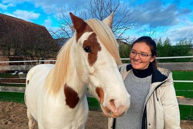 Wie Betty Merkel aus Hohberg einen wilden Mustang gezhmt hat