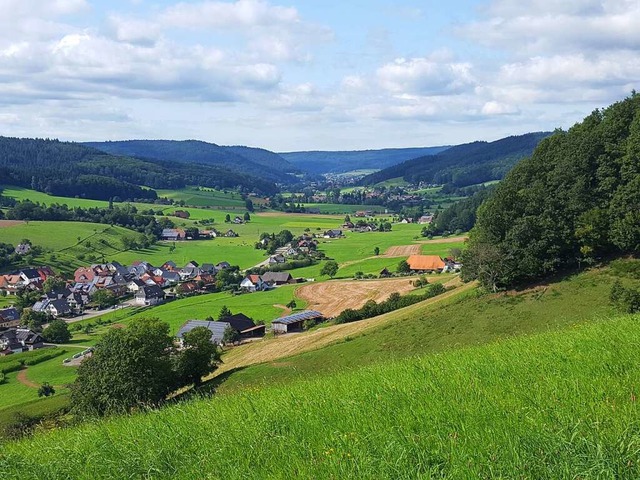 Der Verein Echt Schwarzwald will mit s...d damit die Kulturlandschaft erhalten.  | Foto: Beate Zehnle-Lehmann