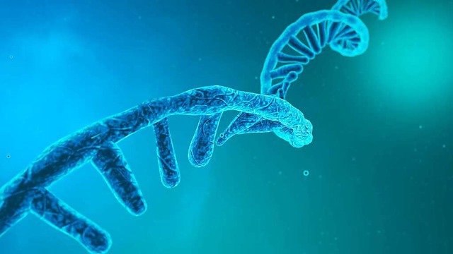 Das ist ein DNA Strang. So einen DNA S... &#8222;Zutaten&#8220; unserer Eltern.  | Foto: CROCOTHERY - stock.adobe.com