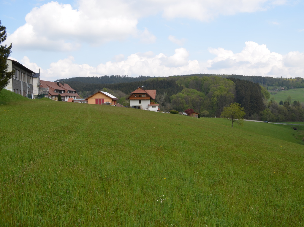 Das knftige Baugebiet Kirchhf II: Neben und unterhalb des ehemaligen Schulgebudes entstehen in  Hanglage 15 Baupltze. Hinten die Landesstrae 101.