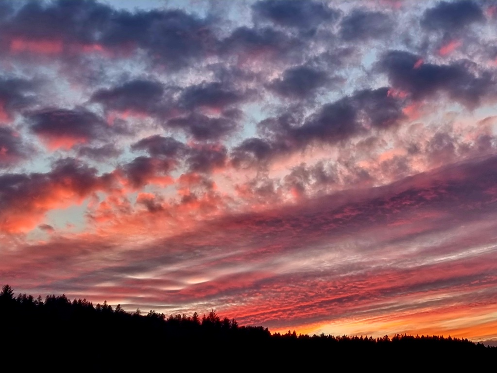 Schne Abendhimmel konnten auch bewundert werden.